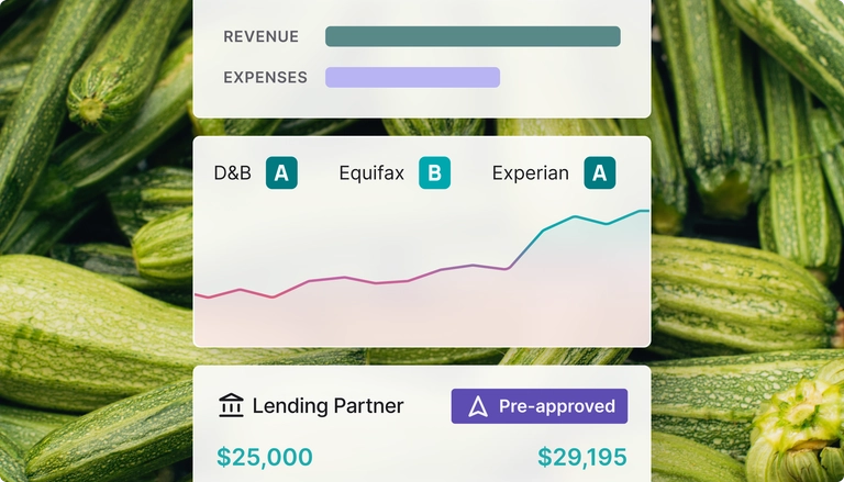 Business credit scores dashboard